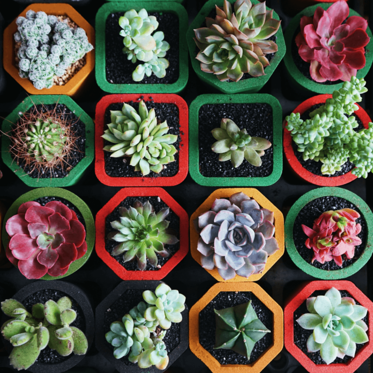 benefit-of-diversification