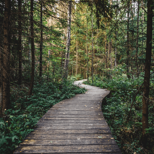 Always in Transition: Planning for the Only Constant in Life